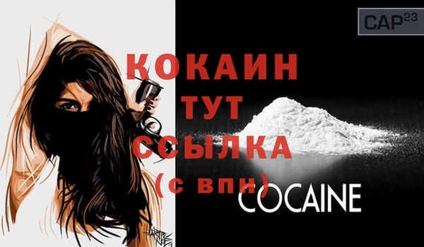 дживик Россошь