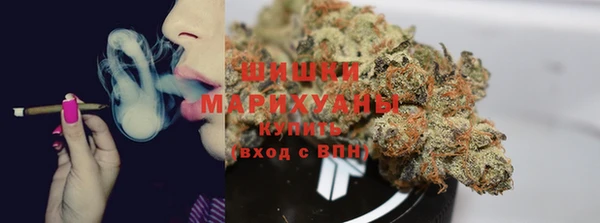 дживик Россошь