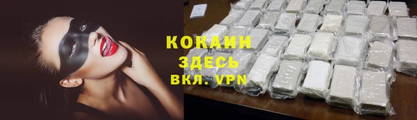 дживик Россошь