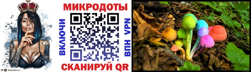 хочу   Сольцы  Галлюциногенные грибы мицелий 